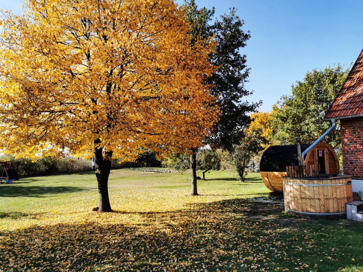 Agroturystyka Ginkgo Sulislaw  Екстериор снимка