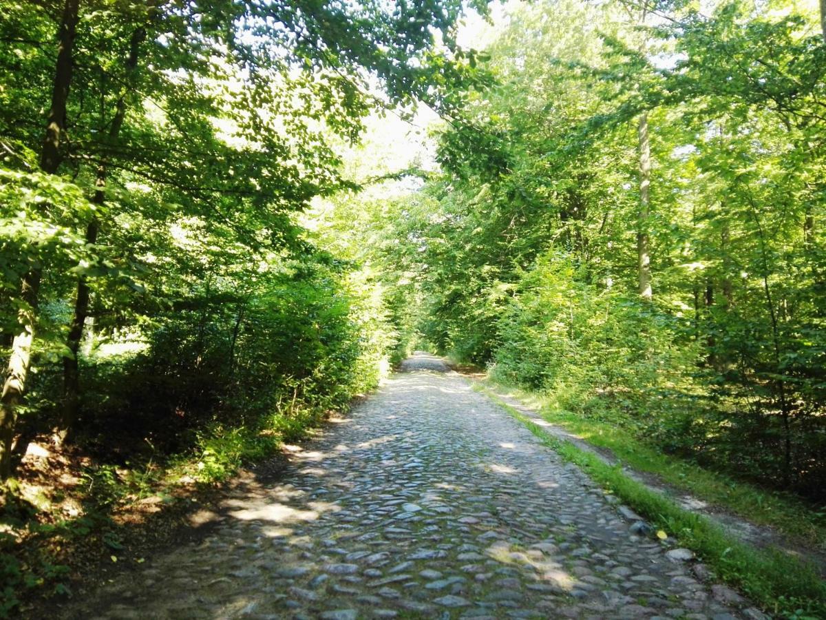 Agroturystyka Ginkgo Sulislaw  Екстериор снимка